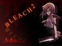 bleach2