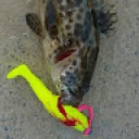 fluffnguts fishing