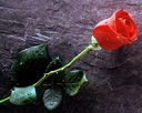 devil_princess