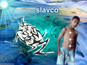 slavco_1