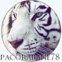 pacorabane78