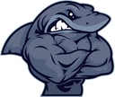 sharky_kostadinow