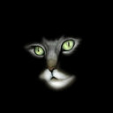 box__iveto