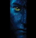 ivoblue