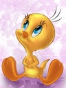 cool_vani