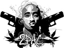 ws2pac