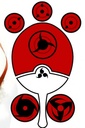 evgeniberg
