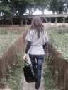 nejlya_1609