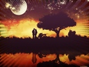bebo_339