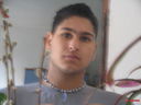 pacata_lz