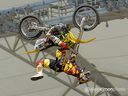 shingo