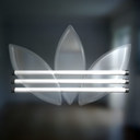 adidas12345