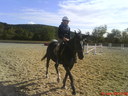 horseslover