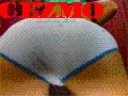 szko