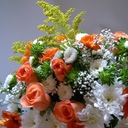 bori0609