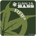 vasil_dmx