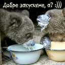 svetlostoyanov