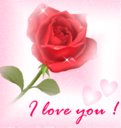 rs_aylin_eren_rs
