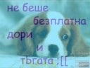 omin