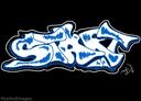 skykings