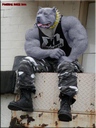alcaponev