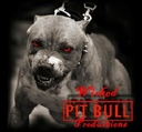 pitbull5104