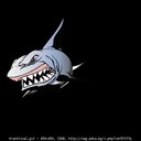 sharky_1996_