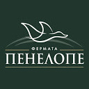 fermatapenelope