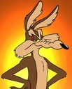 desertkoyote