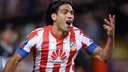 small_falcao_9