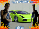 necatinv