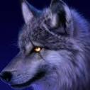 wolves_hungry_for_blood
