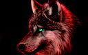 not_right