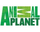 animal_planet