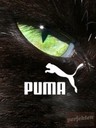 pijaa