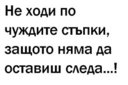 kralskata_kobra1