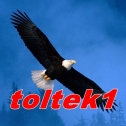 toltek1