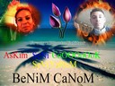 amet_nefize