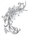 a6im