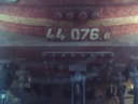 bdz44076