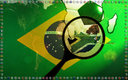 edson_arantes