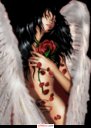 puls_31