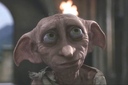 dobby_the_free_house_elf