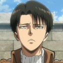 levi