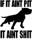 pitbulldog