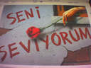 ask_yakar2