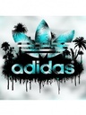 fashion_d