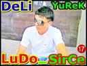 seks_masina1