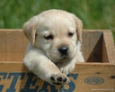 friends_28_04