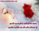vanq_64